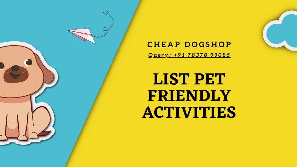 List Pet Friendly Activities